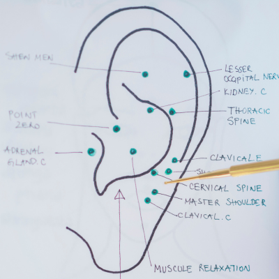 Ear Chart